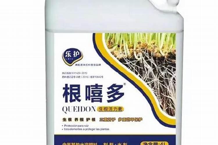 玉米须泡水喝的禁忌