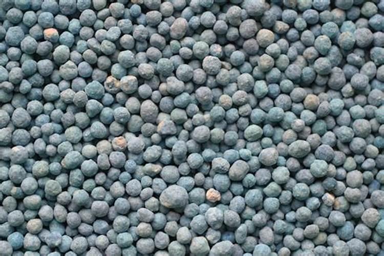 用什么肥料给昙花施肥花蕾生长时可以施肥吗？