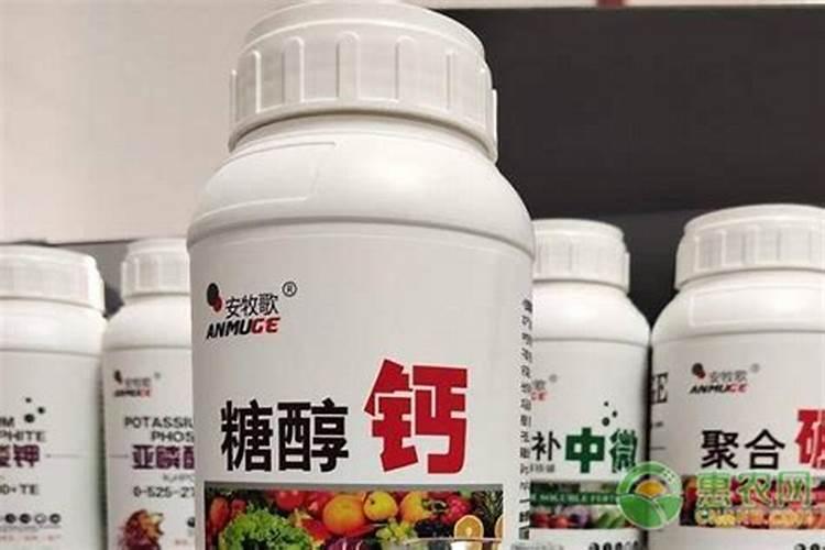 桃子套袋后多久打一次药