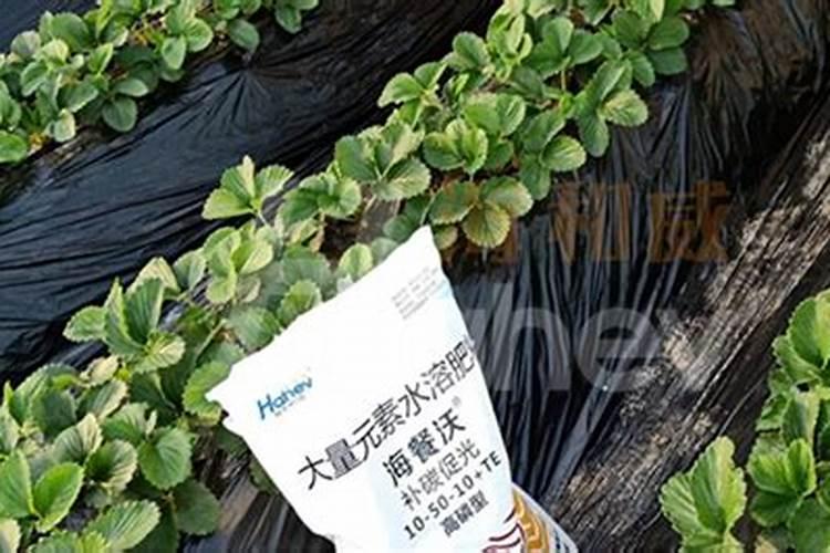 三元复合肥成分比例