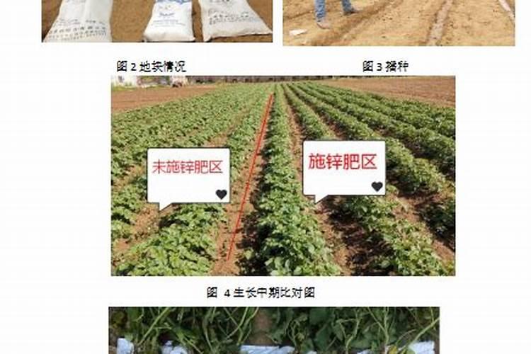 蔬菜施用锌肥一亩用多少,需要注意什么