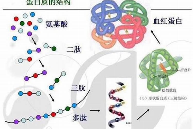 氨基酸水溶肥使用禁忌
