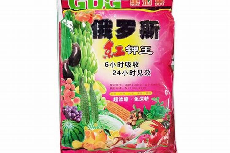 蓝妖:详解蓝盆花如何种植,做好这5点,养好很简单