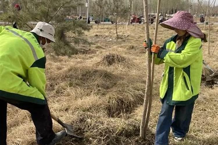 无丝豆的如何储存时间长 无丝豆的怎么储存时间长