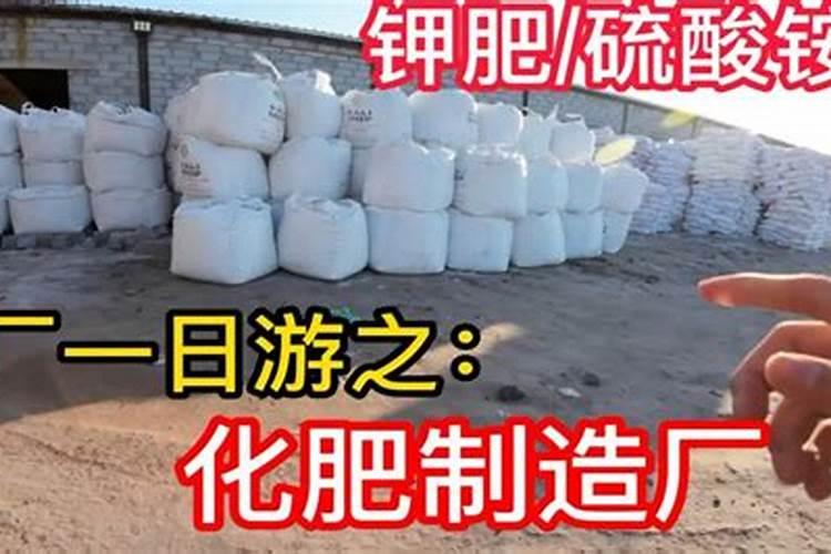 临沂批发市场有哪些种类