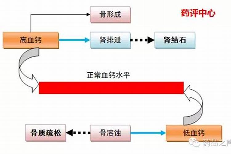 含钙高的食物有哪些