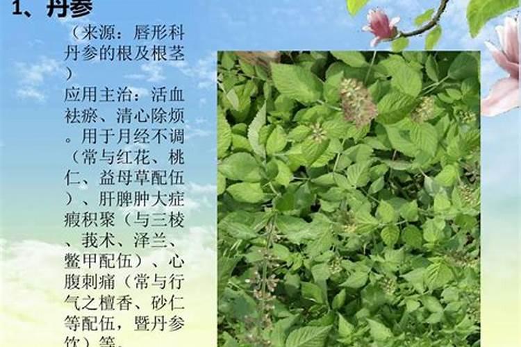油菜上什么化肥最好