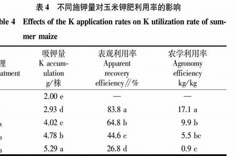玉米用什么肥料能高产
