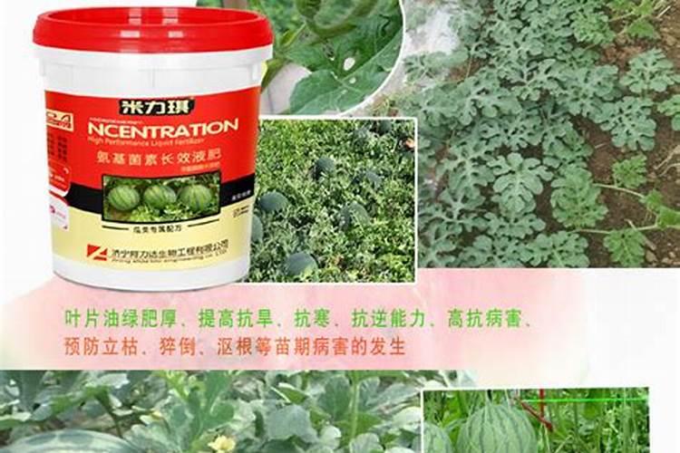 腐植酸配甲壳素水溶肥怎么样