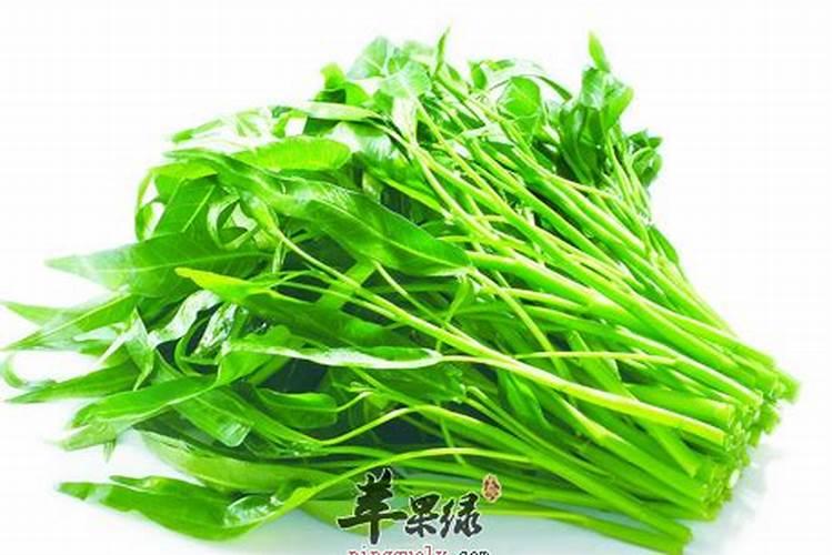 空心菜施什么肥料