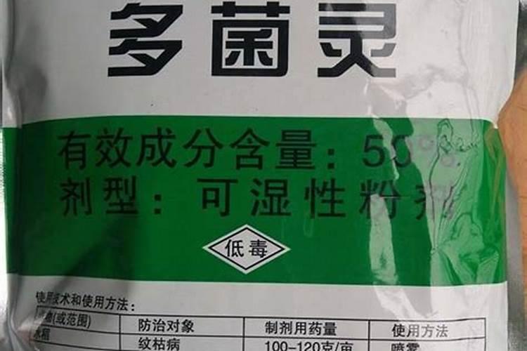 田宝草莓怎么种植技术