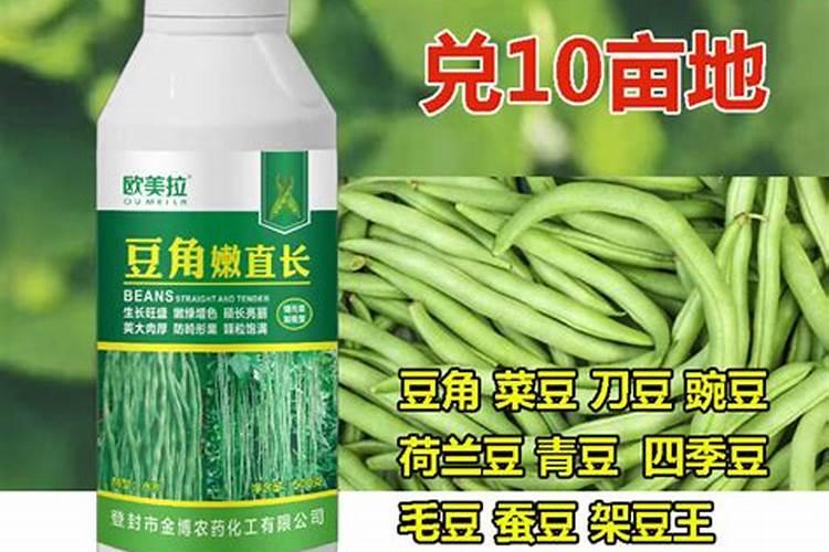 豆角追肥用什么肥料好