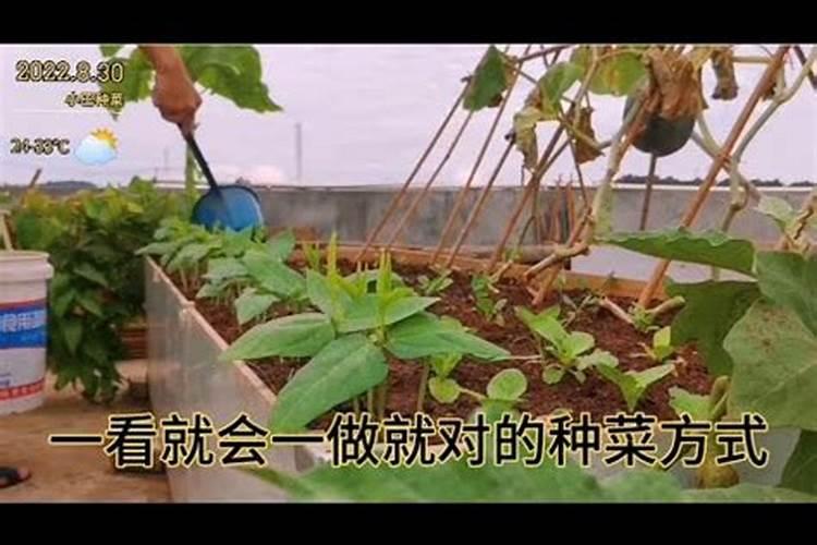 如何做黄豆水肥 做黄豆水肥方法