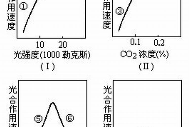 池田依来沙多大了