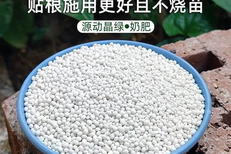 磷肥是什么肥料