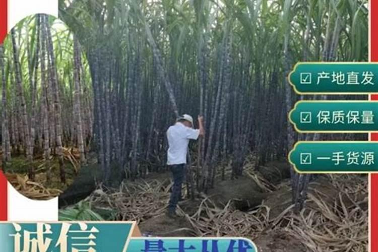 红小豆生长期需要喷施什么肥料？
