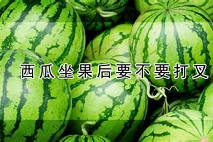 西瓜什么时候追肥合适,高产追肥方法