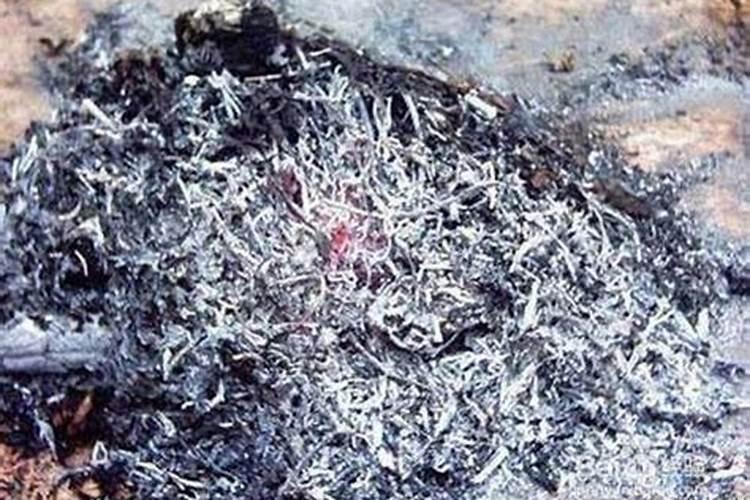太阳花施什么肥比较好,主要以磷肥为主