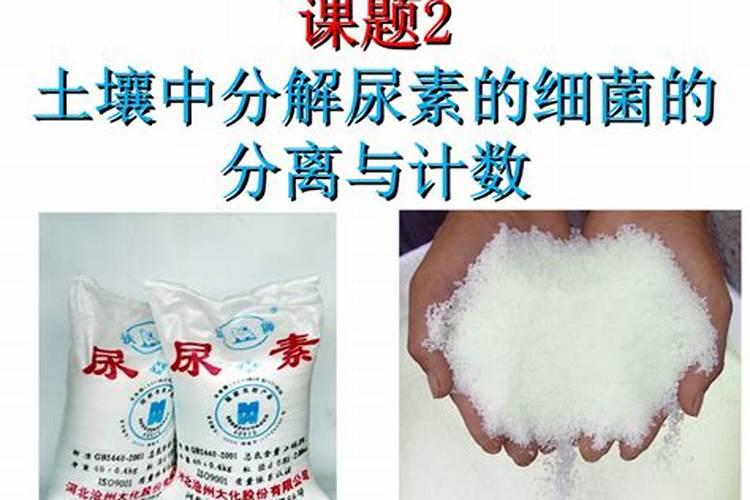 年前小麦要不要撒尿素