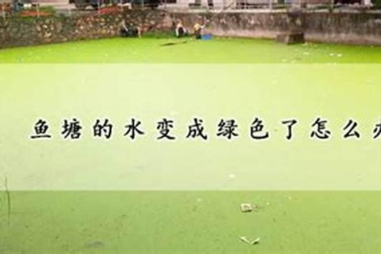 水为什么变绿色了