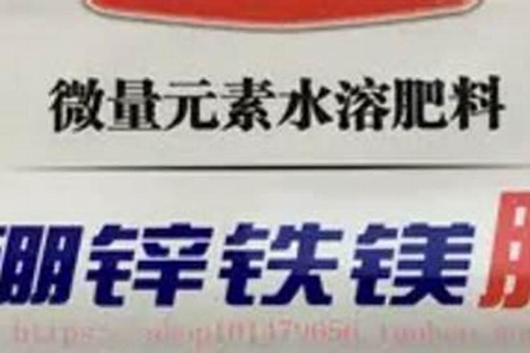 鱼蛋白最忌三种肥料