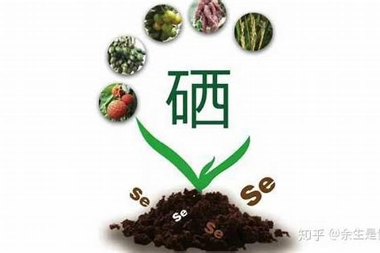 怎样给植物补硒元素 你都了解多少