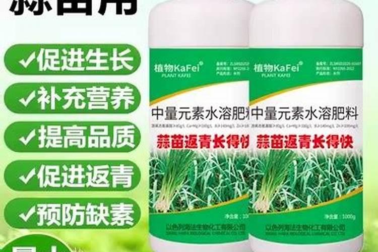 怎样种蒜苗最好