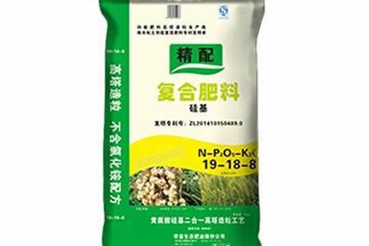 线椒种植技术与管理