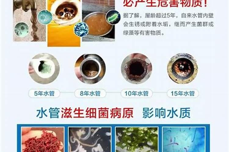 脆弱的君子兰浇上脏水会不会死？