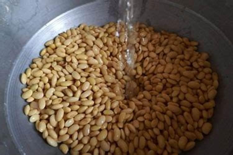 黄豆发酵有臭味怎么办一1黄豆酱异味怎么办？