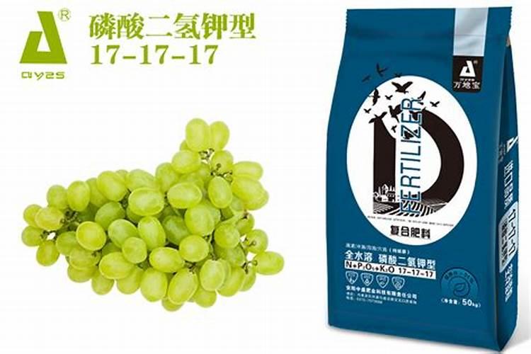 果树硼肥啥时施最佳