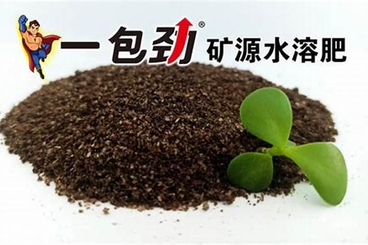 芸苔素几天打一次合适