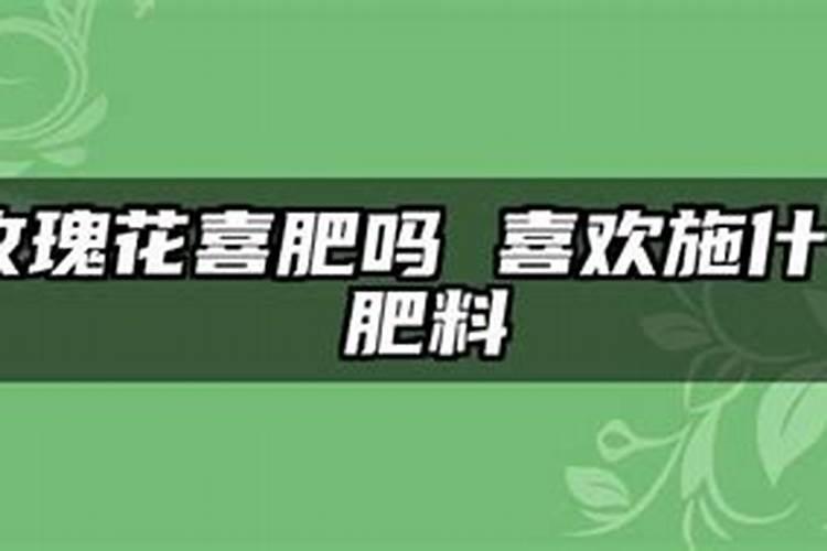 桑树用什么肥料好