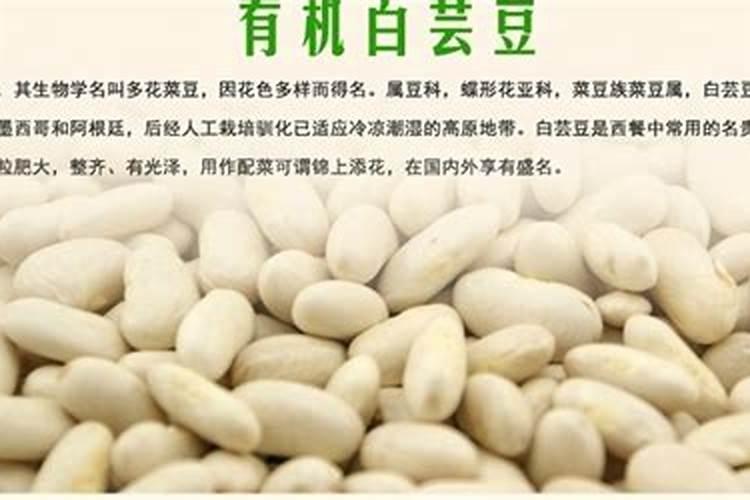 芸豆喜欢什么叶面肥