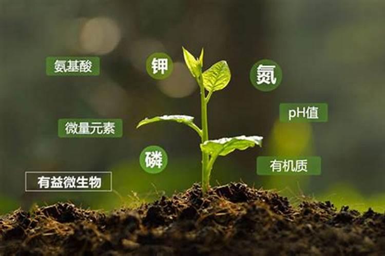 农家肥中有那些元素 农家肥含有的元素简述
