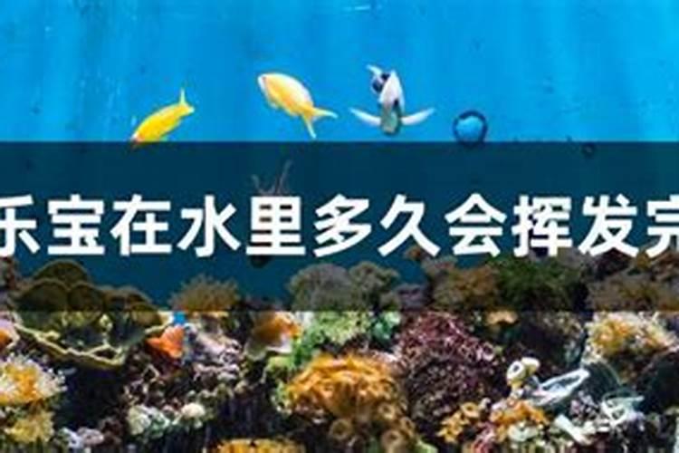鱼蛋白使用注意事项