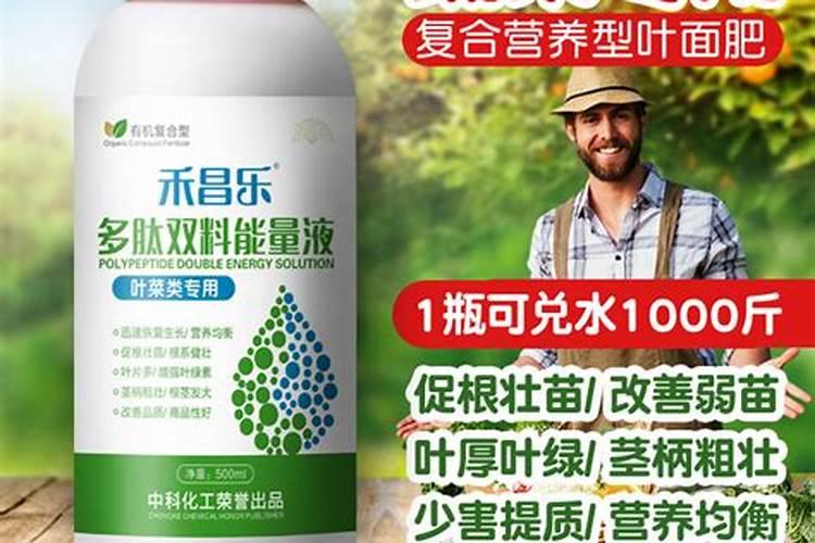 家里？植物用什么肥料好