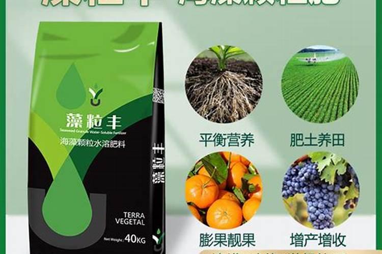 钾肥对植物的作用