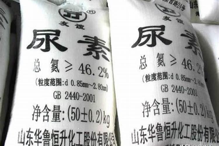 被撒化肥的黑坑怎么钓鱼？