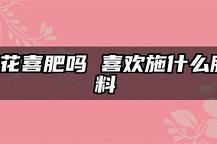 荷花施什么肥最好？