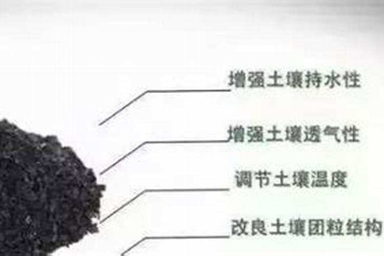 什么叫e抗原和e抗体,它们阳性表示什么？