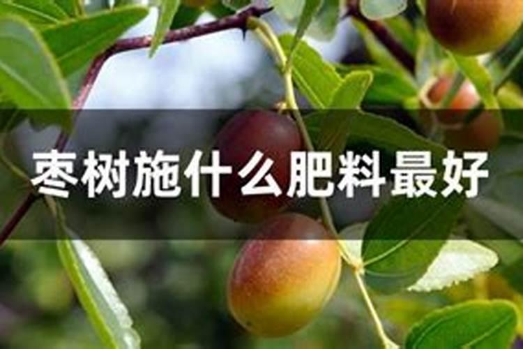 野糜子用什么除草剂