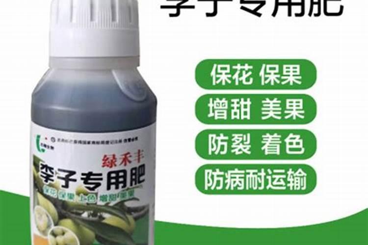 李子采收后的管理要点 李子收获后怎么养护