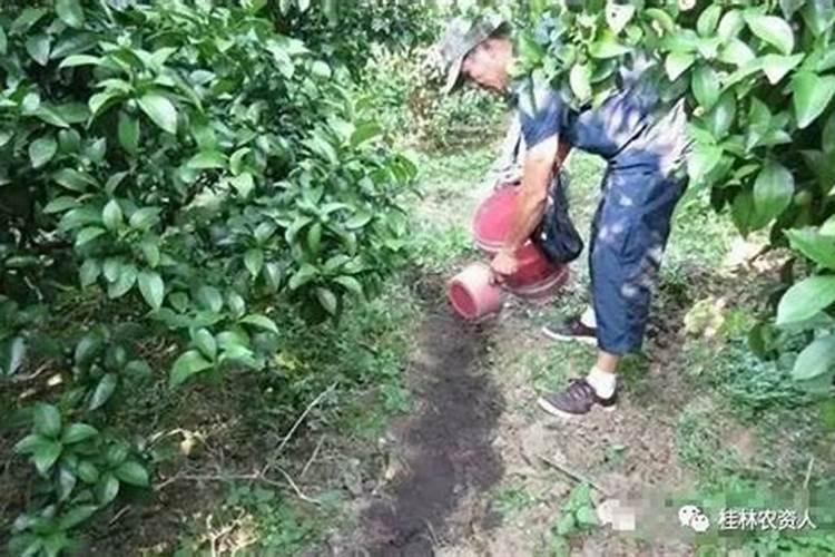 湖南隆科复合肥质量怎么样