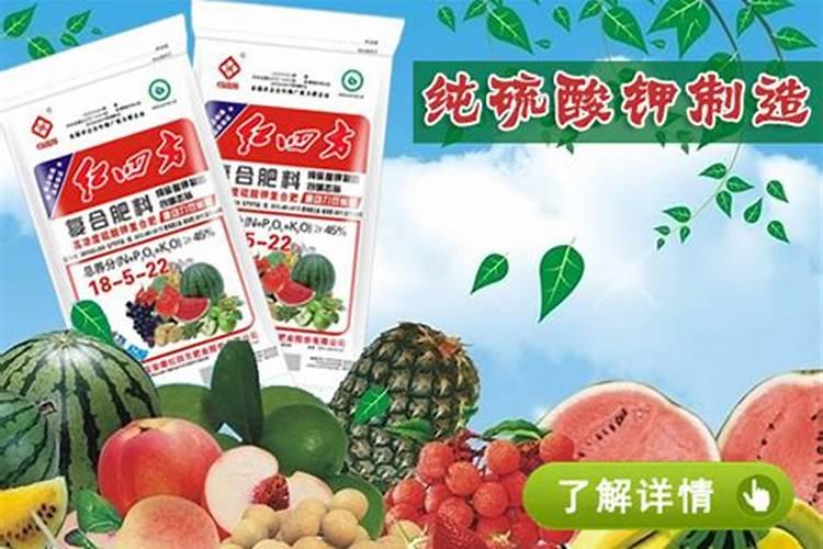 中盐化工是什么概念股？