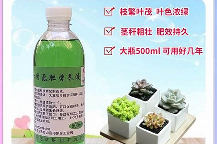 绿萝营养液的使用说明