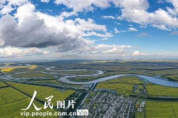 什么叶面肥对水稻最好？了解这些让水稻增产增收!