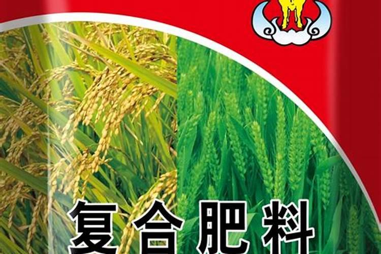 花椒怎么种植