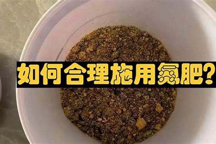 如何分辨肥料的好坏？