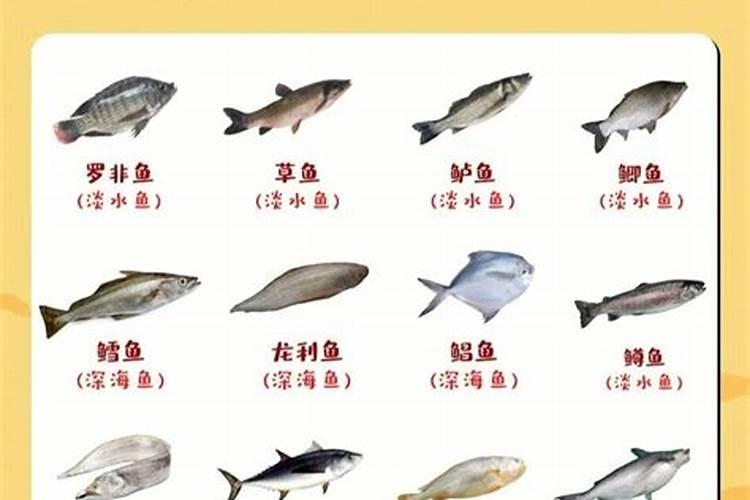 春季农作物使用鱼蛋白的好处？
